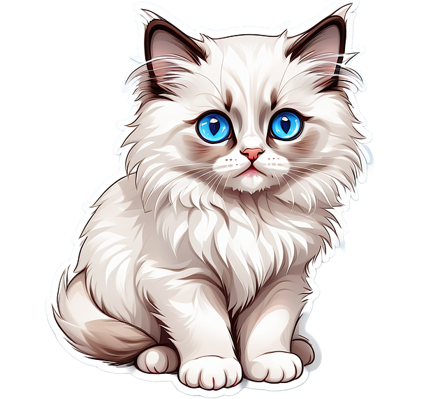 Ragdoll Cats Cattery